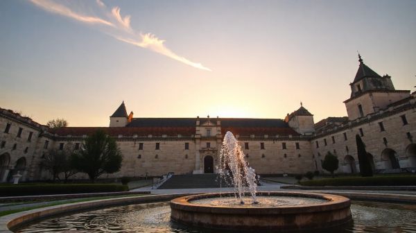 Les avantages d'une agence web à Avignon pour votre succès